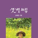 신애경 - 샛별처럼 이미지