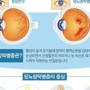 도봉-도봉-서울도봉-2509 이미지