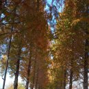 공주산림휴양마을 이미지