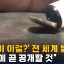 이게 사실로 판명나면... (SBS 8시 뉴스) 이미지