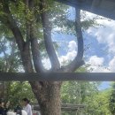 민주지산로 | 계곡 추천 물한계곡 | 맑은누리캠핑 애견 동반 가능, 냉장고, 화장실, 샤워시설