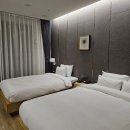 광주 서구 상무지구 숙소 | CS관광호텔 주차 조식 내돈내산 후기