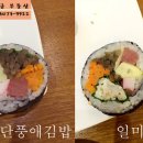 단풍애김밥 이미지
