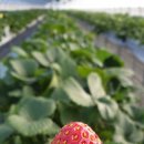 해랑농장 이미지