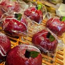 따순기미 이미지