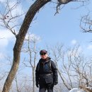 민주지산 함께 하신 분들 이미지