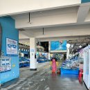 다포수산 | [국내여행][대천] 또 한 번 원없이 해산물을 먹고 온 대천항 수산 시장