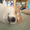 안마을 공중화장실 이미지