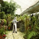 신기농원 이미지