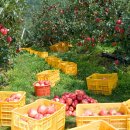 날개농장 이미지