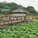 신촌정자마을회관 | 사람 1도 없는 경남 하동 연꽃 불무마을 실시간 방문 후기