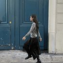 삼미리 펫 모범택시 | 레이디가가 보러 간 도쿄