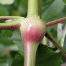 우슬농장 이미지