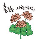 이마담살롱
