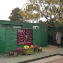 인디드제이 | 제주 12월 1월 여행지 동백 수목원 포토존 개화현황 주차