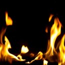 디마레의원 이미지