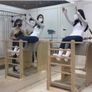 에이치엠 레이디짐(HM LADY GYM) 이미지