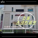 소울스크린골프 이미지