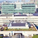 상광교동 수원천 경기일보