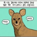 W01. 27살, 결혼 준비