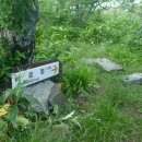 오대산 달빛 이미지