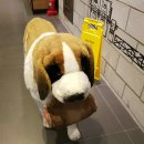 투썸플레이스 부천역로데오점 이미지