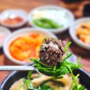대성시장 | 🐷 진해 중앙시장 숨은 돼지국밥 맛집! 대성집 대성집 솔직 후기 (현지인 인정 맛집)