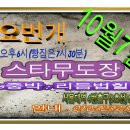 스타무도장 이미지