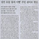 다부 이미지
