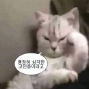 소희네 하우스 | YAY HAUS 송파본점에서 소희 실장님 뿌리매직 후기