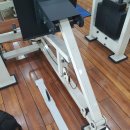 다이나포스헬스클럽 이미지