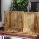 이화유치원 이미지