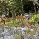 행복의 동산 이미지