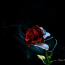 그녀가 산다 이미지