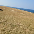 할망네민박 이미지