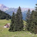 의료법인 수의료재단 이미지