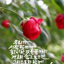 캘리로여는 말씀 이미지