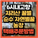 삼팔종합농장1 | 6시내고향 지리산꿀벌 순수 자연벌꿀 농장 지리산 산청 시골농장 택배주문방법