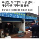 中선전, 개·고양이 식용 금지…개구리·뱀·거북이도 포함 이미지