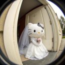 주)서안성아이웨딩컨벤션 | 식장을 찾아서