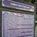 부윤집
