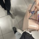 THE맑은약국 | [포르투갈/신혼여행] #01 리스본 (대한항공 직항/리스본 인생호텔 팔라시오 palacio/리스보아카드/대구...