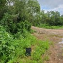 관정목장 이미지