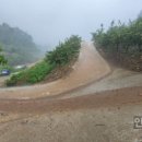 중호농장 이미지