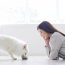 시장동물약국 이미지