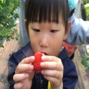 대산농장2 이미지