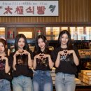 힛지스 카카오 검색결과