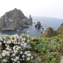 울릉관광옥천호텔 이미지