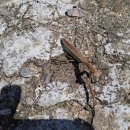 연세힘찬마디의원 이미지