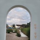 스테이 다로 2 이미지